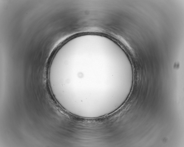 X0000093751364200711131115