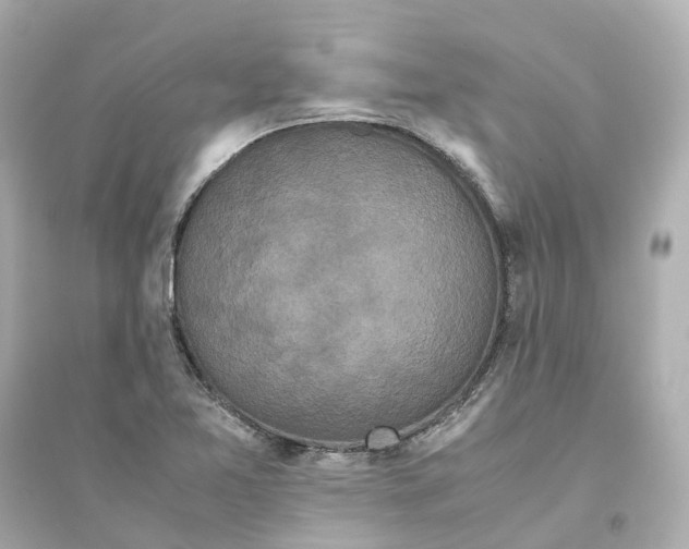 X0000093751365200711131115