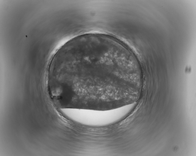 X0000093751367200711131115