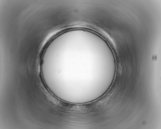 X0000093751368200711131115