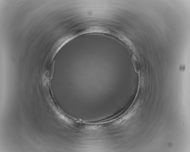 X0000093751369200711131115