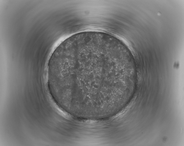 X0000093751371200711131115