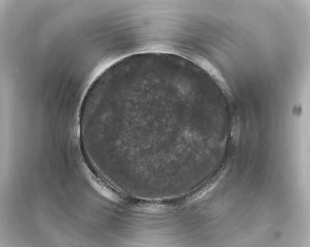 X0000093751372200711131115