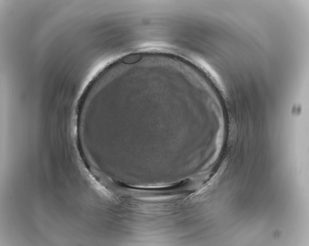 X0000093751376200711131115