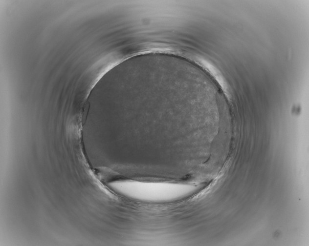 X0000093751377200711131115