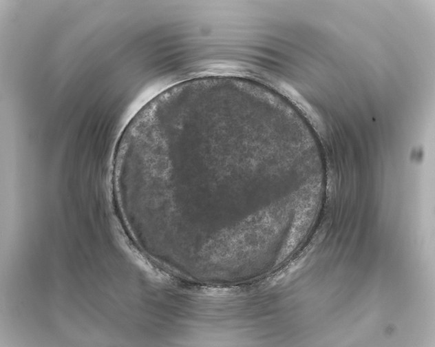 X0000093751378200711131115