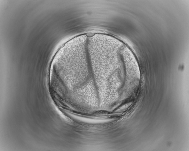 X0000093751379200711131115