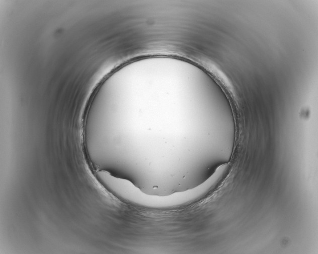 X0000093751380200711131115