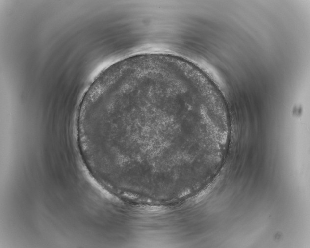 X0000093751382200711131115