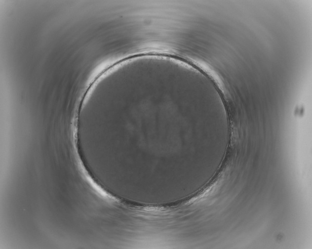 X0000093751383200711131115