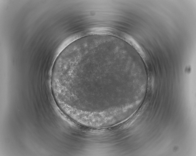 X0000093751386200711131115