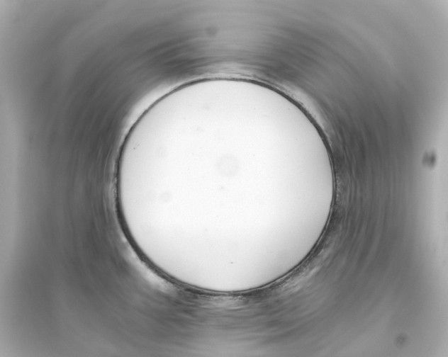 X0000093751387200711131115