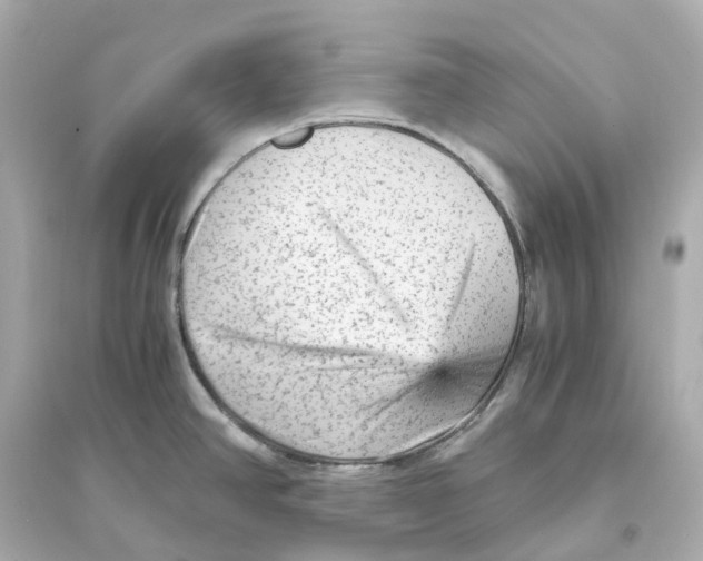 X0000093751390200711131115