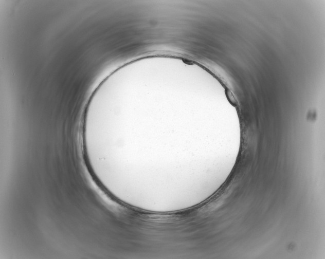 X0000093751391200711131115