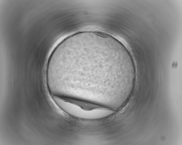 X0000093751392200711131115