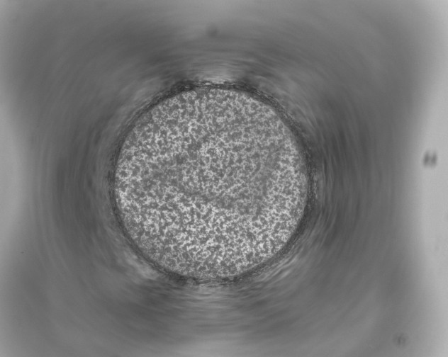 X0000093751393200711131114