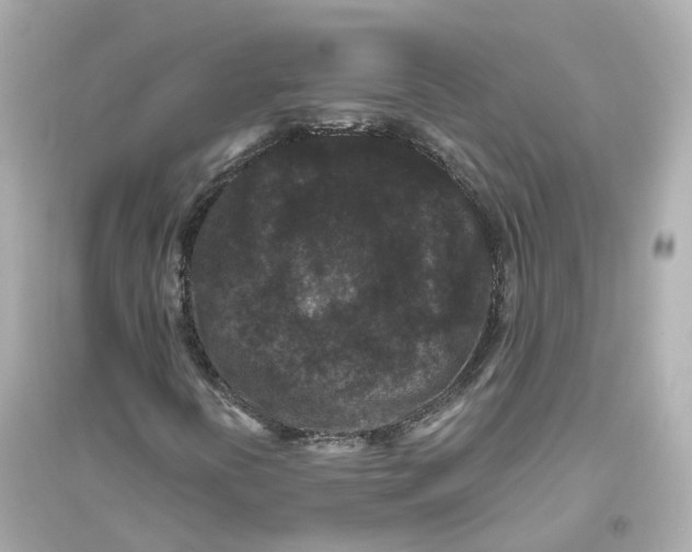 X0000093751394200711131114