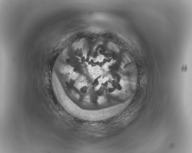 X0000093751397200711131114