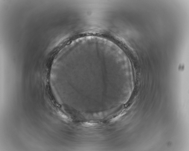 X0000093751399200711131114