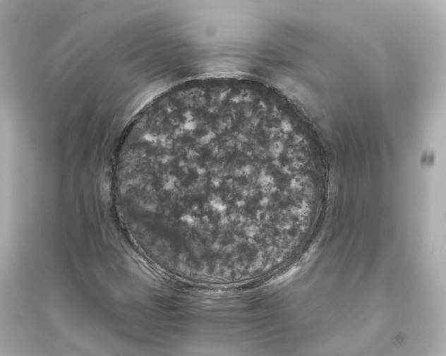 X0000093751401200711131114