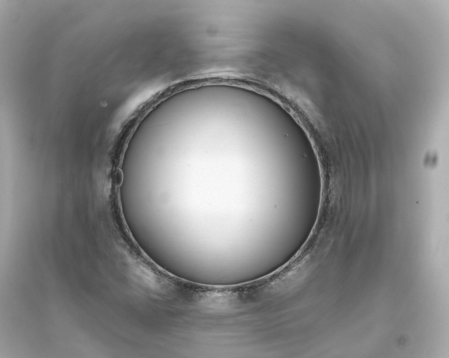 X0000093751406200711131114