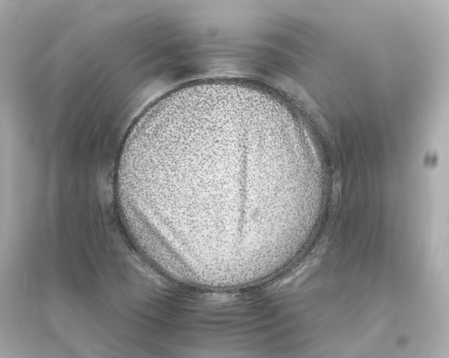 X0000093751409200711131114