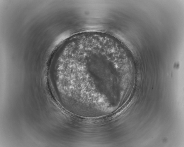 X0000093751411200711131114