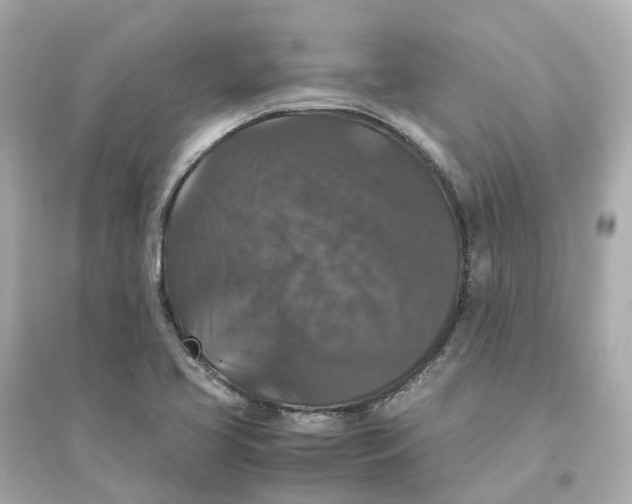 X0000093751413200711131114