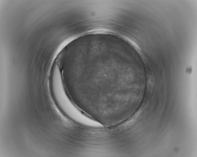 X0000093751418200711131114