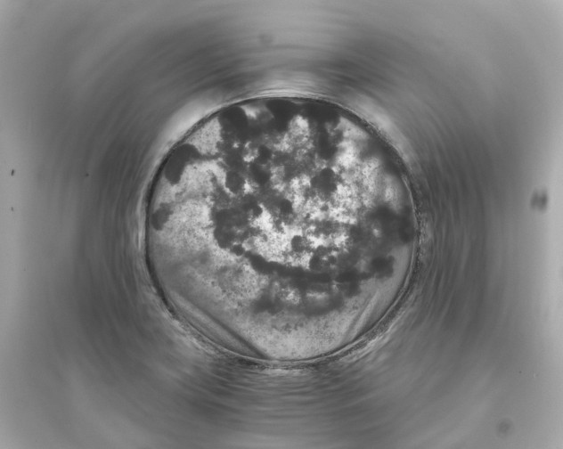 X0000093751419200711131114