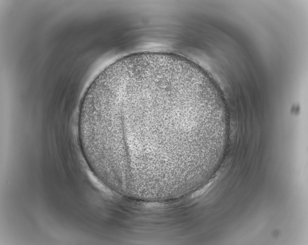 X0000093751421200711131114