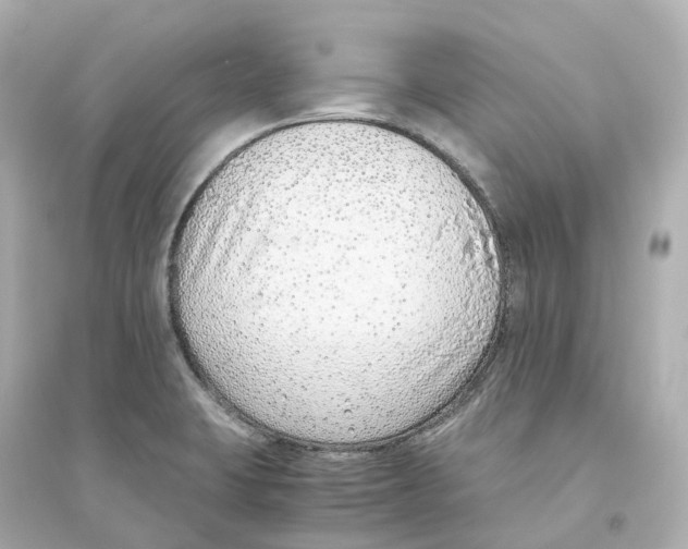 X0000093751423200711131114