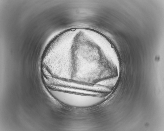 X0000093751424200711131114