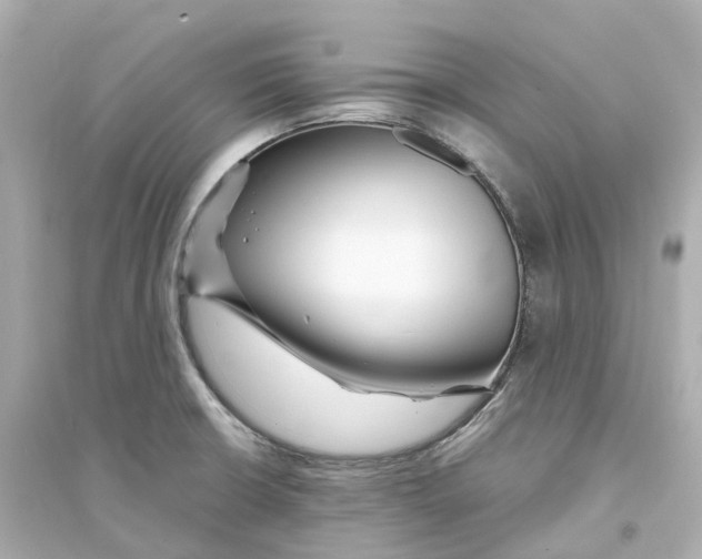 X0000093751426200711131114