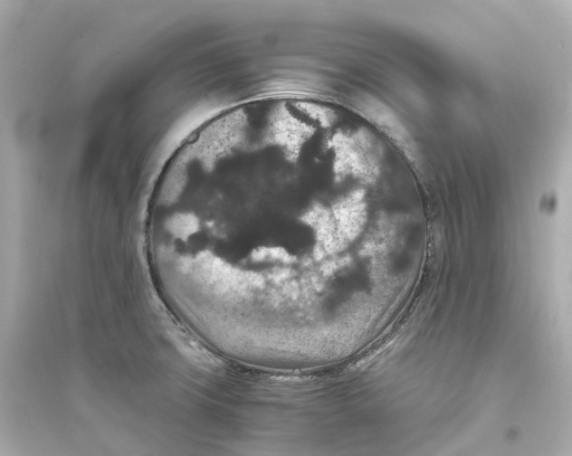 X0000093751427200711131114