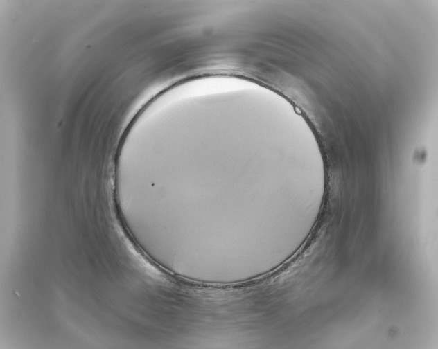 X0000093751428200711131114