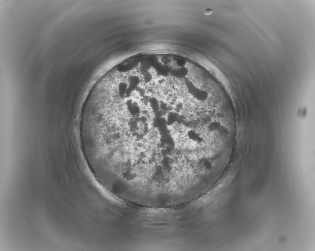 X0000093751429200711131114