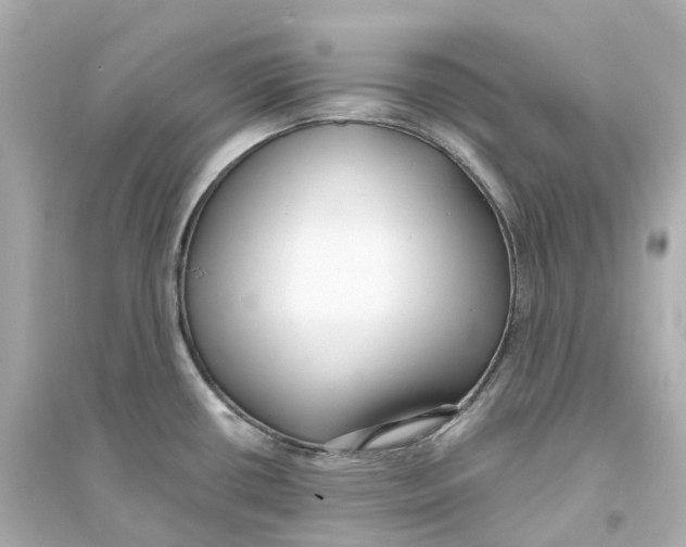 X0000093751434200711131114