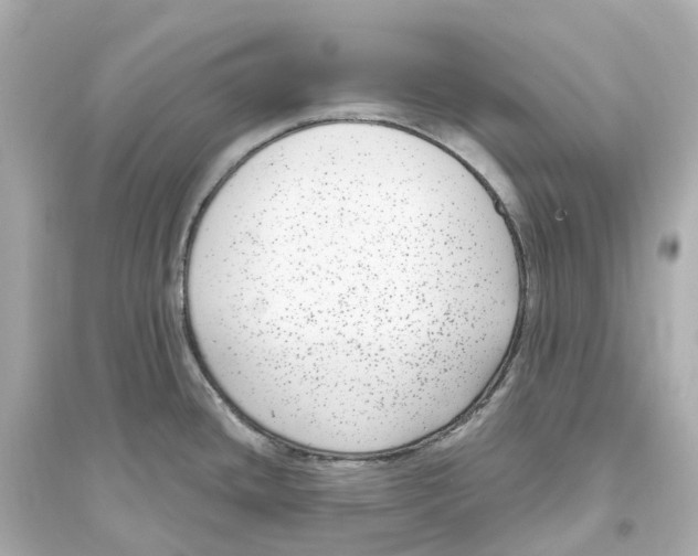 X0000093751436200711131114