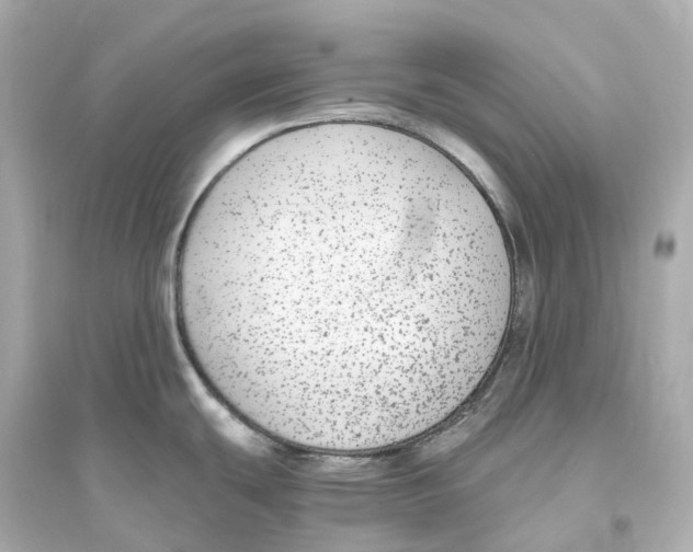 X0000093751439200711131114