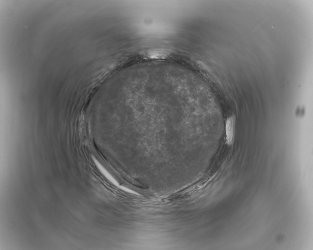 X0000093751443200711131114