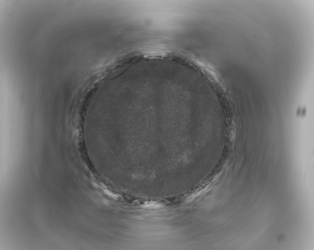 X0000093751445200711131114