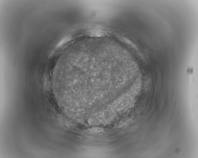 X0000093751446200711131114