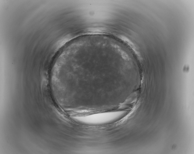 X0000093751449200711131114