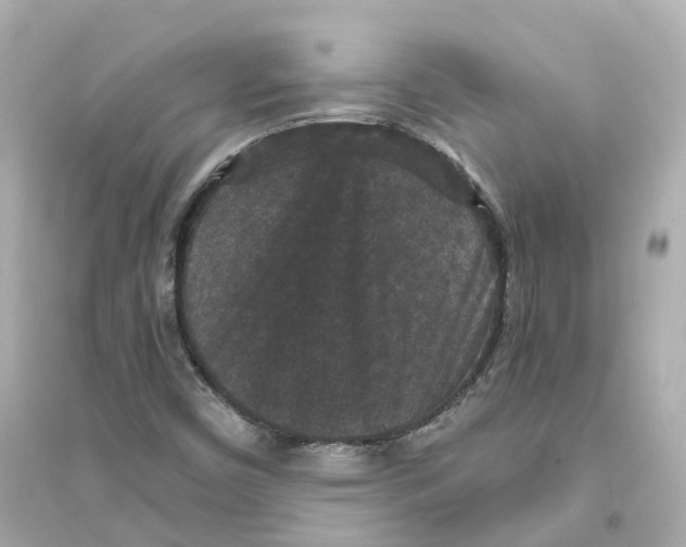 X0000093751450200711131114