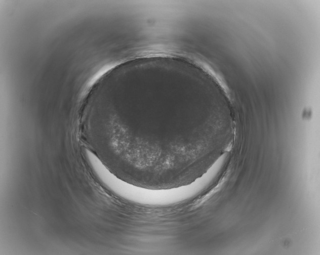 X0000093751453200711131114