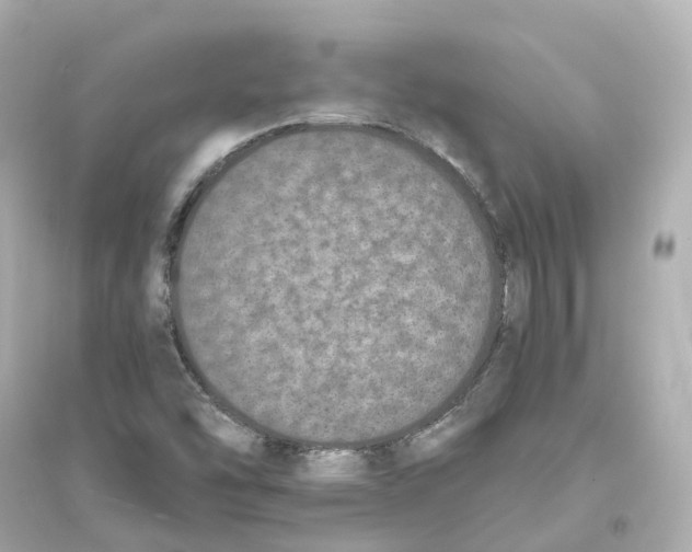 X0000093751454200711131114