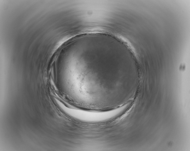 X0000093751457200711131114