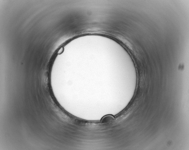 X0000093751458200711131114