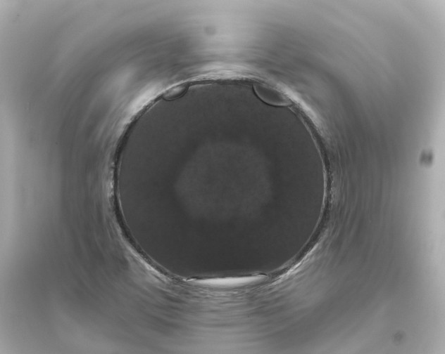 X0000093751459200711131114